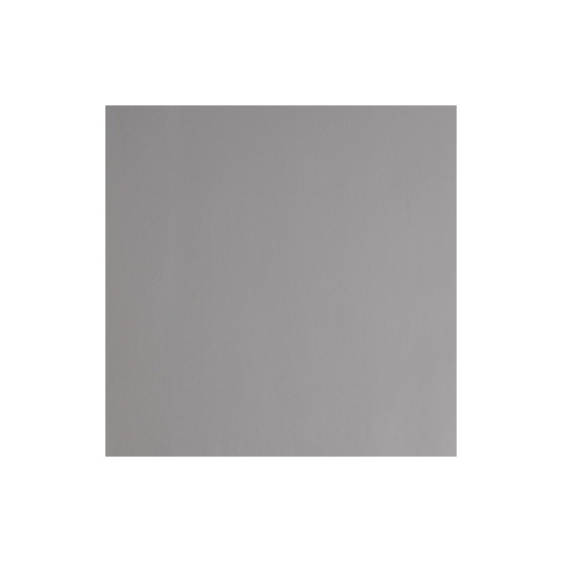 S5877B - Argent Brillant